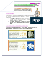 Estados Del Carbono
