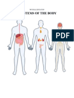 Systems of The Body: Endocrine, Digestive and Nervous
