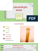 Hymenolepis Nana: Equipo 1