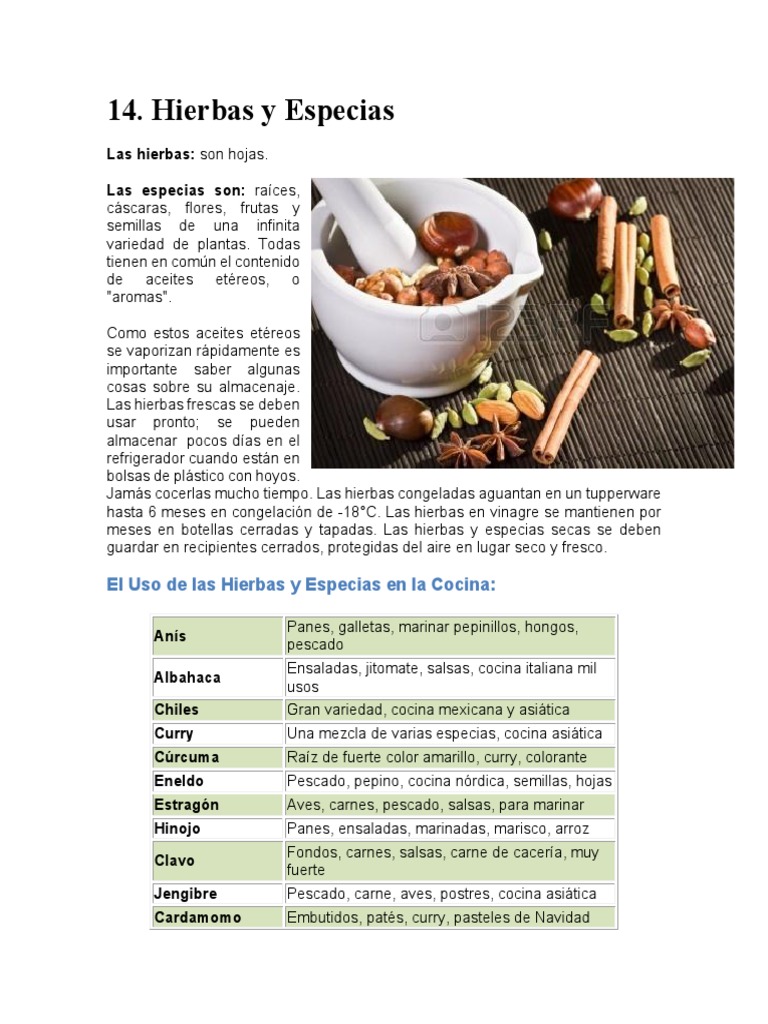 Guía de Hierbas y Especias Culinarias | PDF | especia | Cilantro