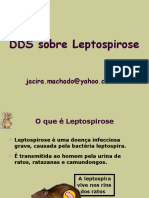 Dds Sobre Leptospirose