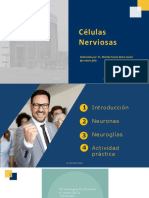 3PPT - DC - Células Nerviosas-1