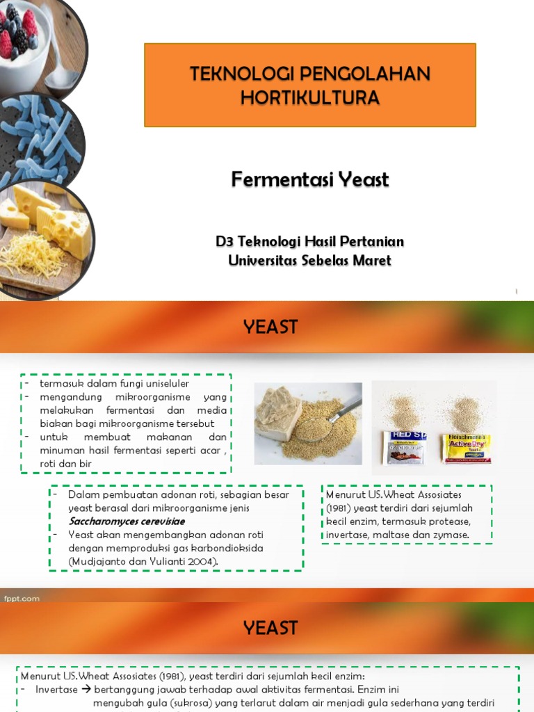 Fermentasi Roti dan Bir dengan Yeast | PDF | Memasak, Makanan, & Anggur ...