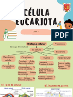 Sec-Célula Eucariota