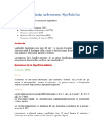 Hormonas hipofisiarias: Fisiología y funciones principales