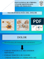 Neurofisiologia Del Dolor