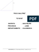 "Pico Salitre" TC18197: Distrito: San Felipe Provincia: Jaen Departamento: Cajamarca