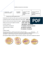 Taller de Biologia 9 Grado