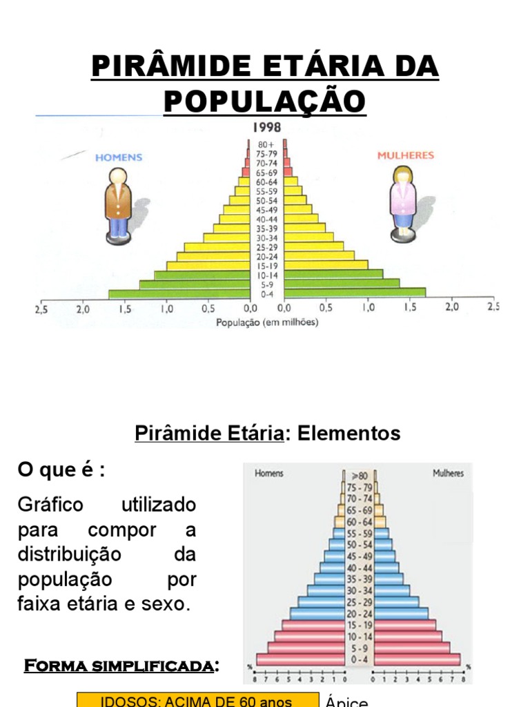 Pirâmide Etária: Estruturas e Tipos | PDF