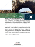 Ballestas Islands & Paracas National Reserve (FD)