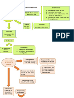 Unidad Iv: Defectos Subjetivos Y Objetivos