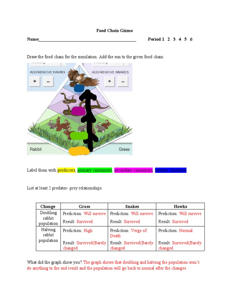 Food Chain Gizmo PDF Predation Earth Sciences