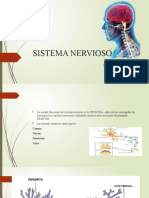 Sistema Nervioso: DR. Juan de La Cruz Vaca Docente Farmacologia