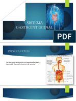 Tema 6 Sistema Gastrointestinal