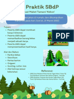 PTS Praktik SBDP