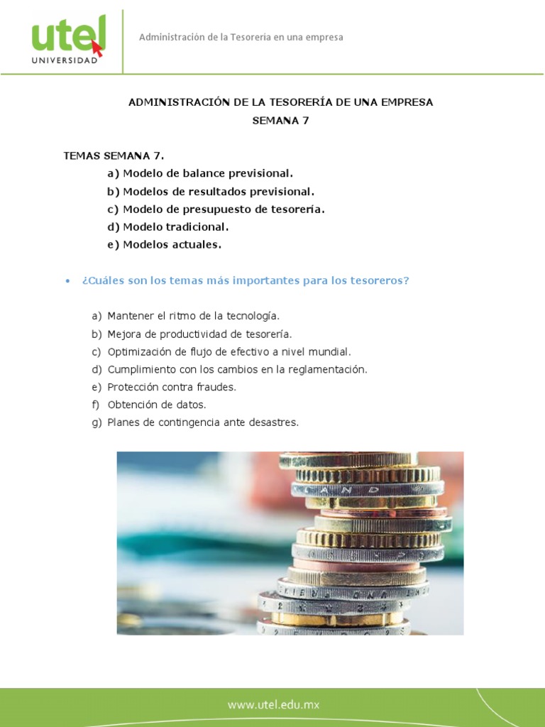 Administración de La Tesorería en Una Empresa: - ¿Cuáles Son Los Temas ...