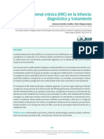 Enfermedad Renal Crónica (ERC) en La Infancia: Diagnóstico y Tratamiento