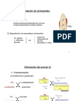 Tema 12 degradacion aminoacidos