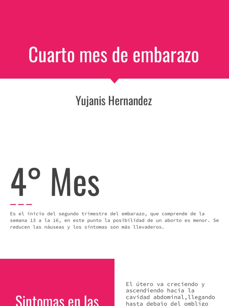Cuarto Mes de Embarazo | PDF | El embarazo | Feto