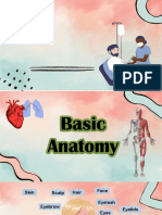 Basic human anatomy under 40 characters