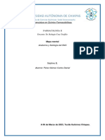 SNC Anatomía Fisiología