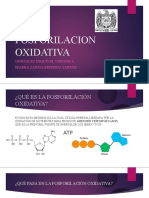 Fosforilacion Oxidativa: Gonzalez Esquivel Veronica Ibarra Zapata Briseida Yareth