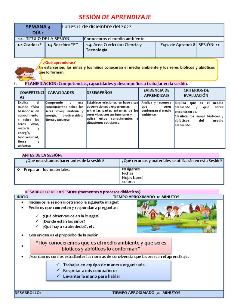 Sesión 21 - Medio Ambiente | PDF | Entorno natural | Aprendizaje