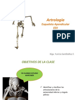 Artrología-Esqueleto Apendicular EEII