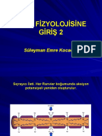 Sinir Fizyolojisine Giriş 2: Süleyman Emre Kocacan