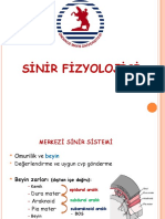 Sinir Fizyolojisi