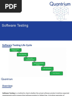 Software Testing 