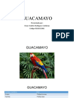 Guacamayo: Presentado Por: Oscar Andrés Rodríguez Cárdenas Código 0120211061