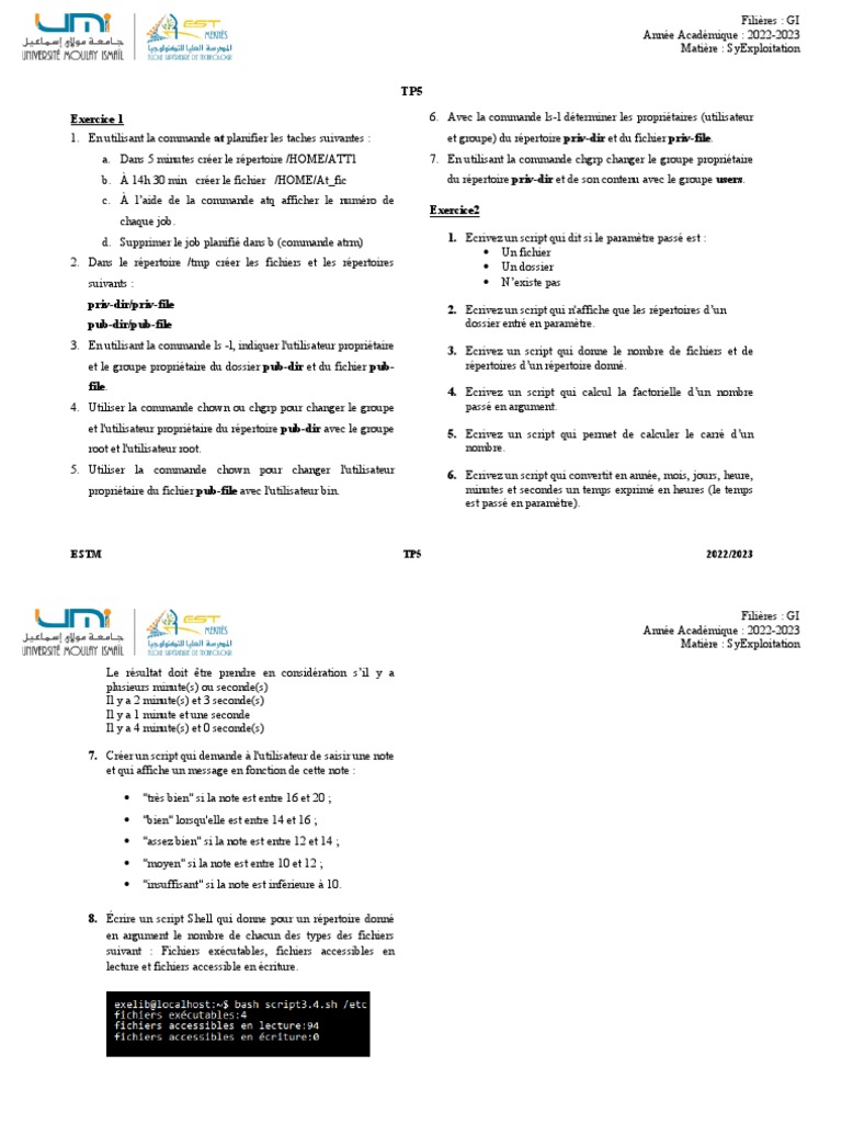 TP5 SyExploitation : Scripts et Commandes | PDF | Informatique | Échecs