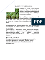 Nutricion Del Chayote