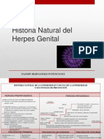 Historia Natural Del Herpes Genital: Yazmin Hernandez Potenciano