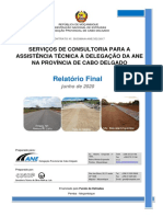 Relatório Final: Serviços de Consultoria para A Assistência Técnica À Delegação Da Ane Na Província de Cabo Delgado