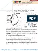 Human Eye and CW