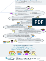 What Is Professional Scrum Infographic
