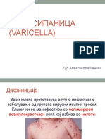 Овча сипаница (Varicella)