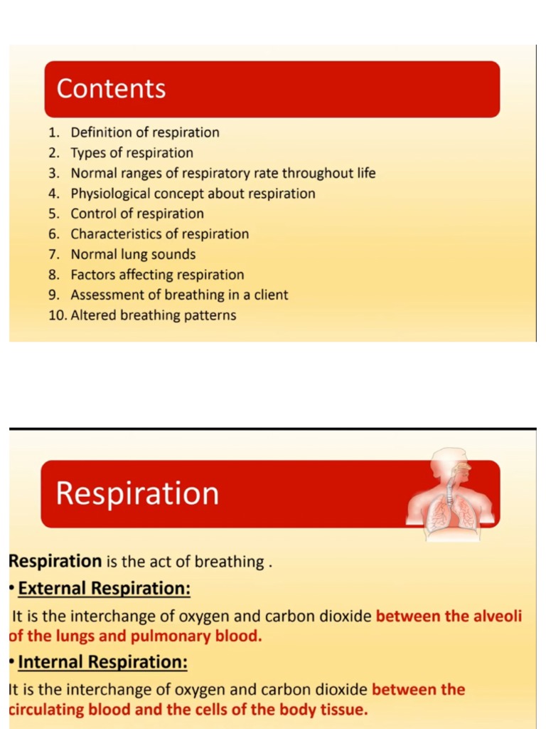 RESPIRATION DEFINITION MEANING visual data 3