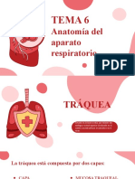 Tema 6: Anatomía Del Aparato Respiratorio