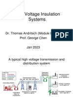 High Voltage Insulation Systems: Dr. Thomas Andritsch (Module Leader) Prof. George Chen