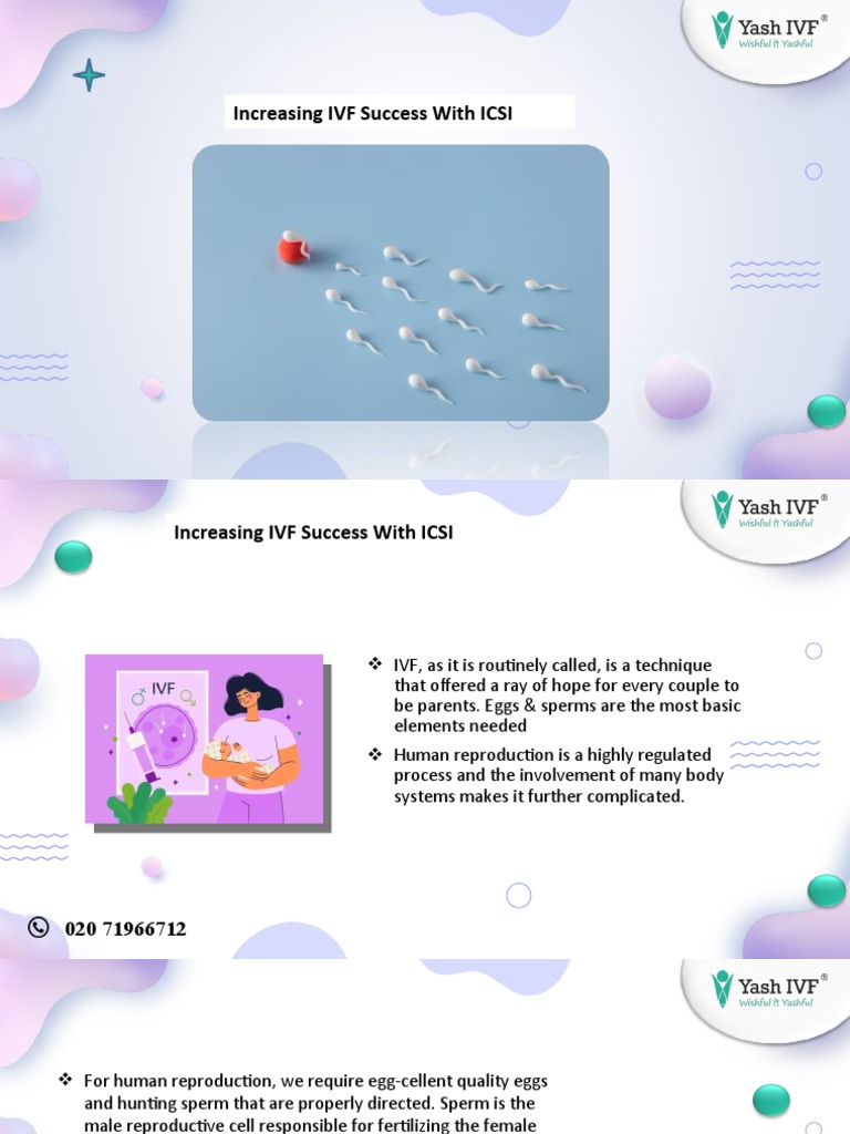 Boost IVF Success with ICSI Techniques | PDF | In Vitro Fertilisation ...
