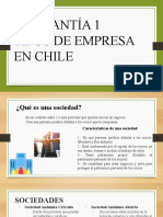 Ayudantía 1 Tipos de Empresa en Chile