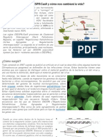 ¿Qué Es La Tecnología CRISPR/Cas9 y Cómo Nos Cambiará La Vida?