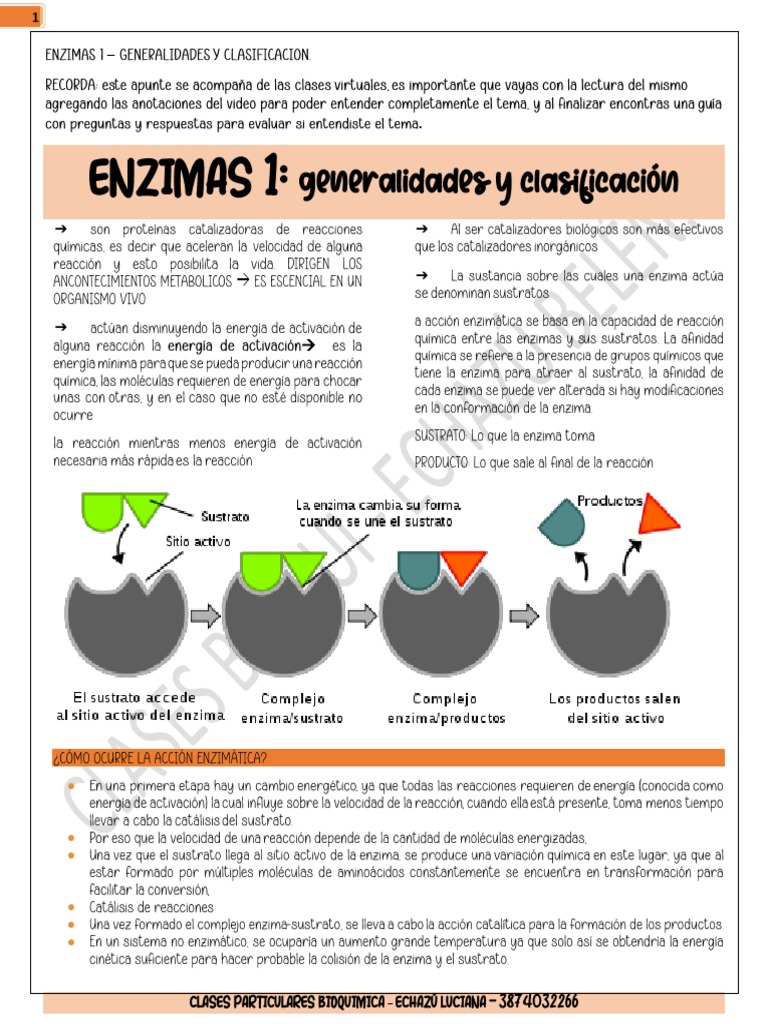 apunte-1-enzimas-generalidades-pdf
