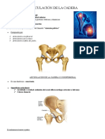 Articulación de La Cadera: 1. Articulación Coxofemoral 2. Articulación Sacro-Ilíaca 3. Articulación Sínfisis Del Pubis