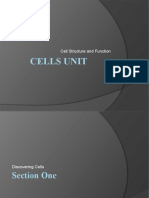 Cells Unit Powerpoint 2