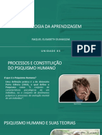 Slide Da Unidade - Desenvolvimento Do Psiquismo Humano