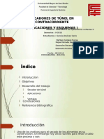 PDF Secador de Tunel - Compress